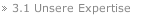 3.1 Unsere Expertise